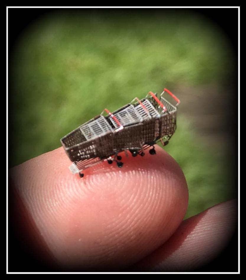 29597751_372241216578788_2913587382933575041_n